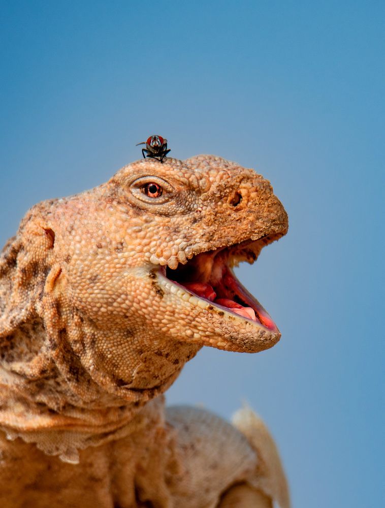 Фотография автора Sajeev Krishnan