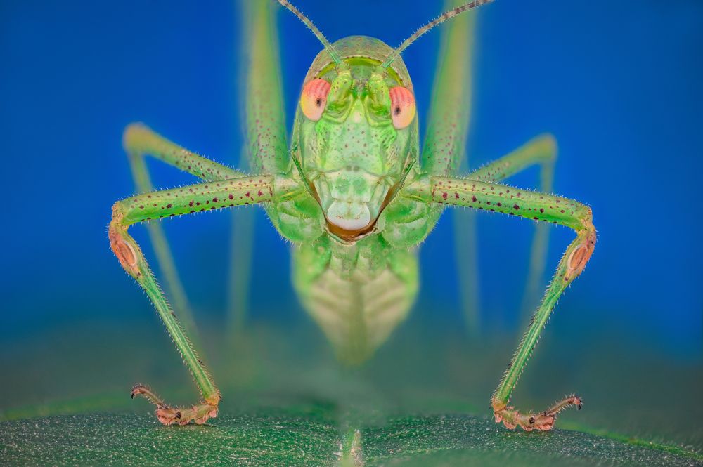 Photograph by Tsvetan Ganev