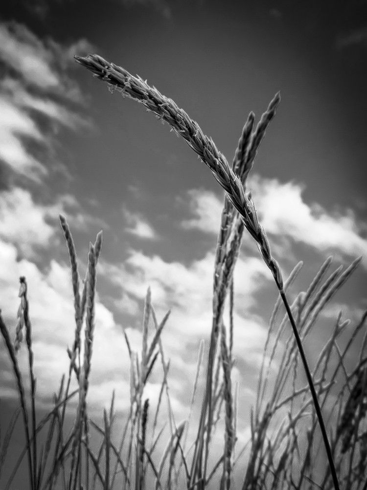 Photograph by Dmitri Kalinin