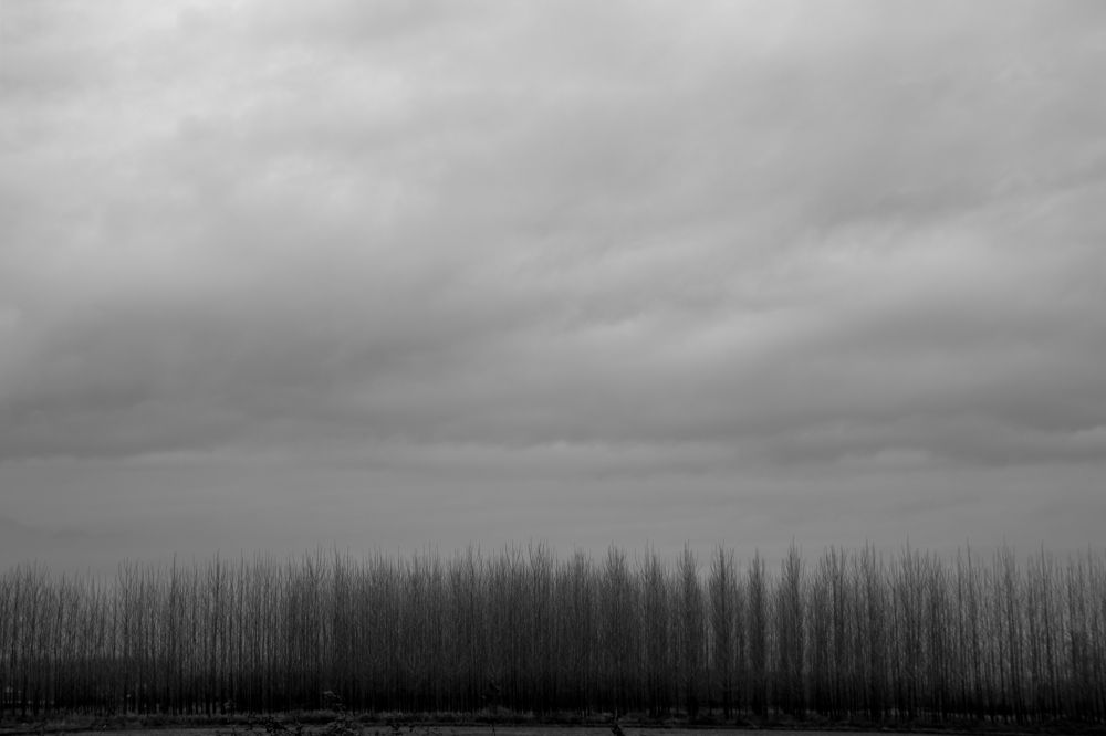 Black and white