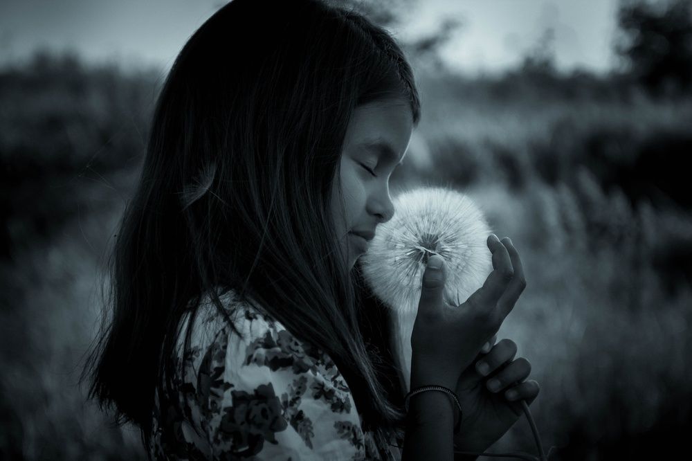 Photograph by Елена