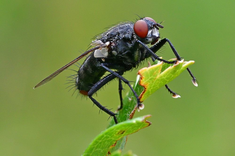 Photograph by Корнейчук Игорь