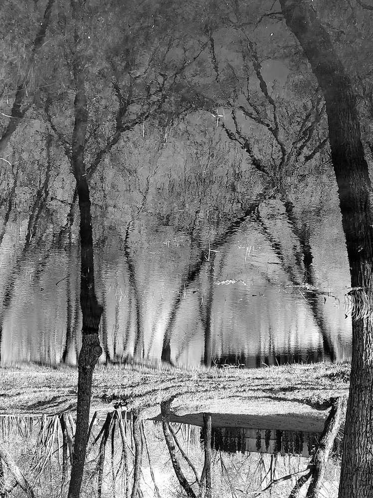 Photograph by Людмила Орловская