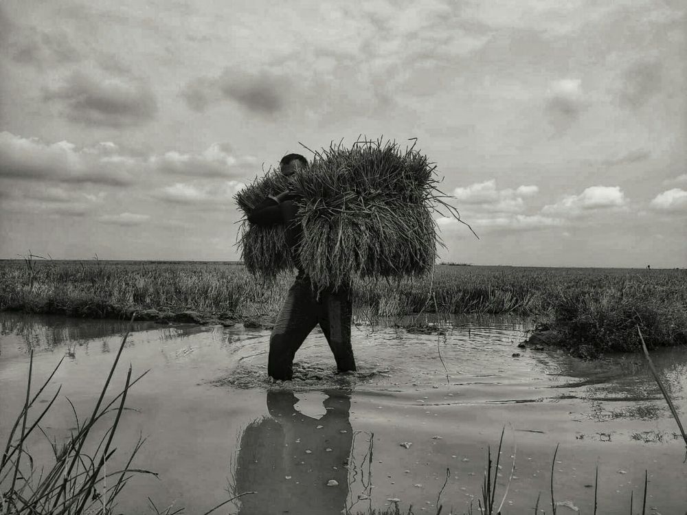 Photograph by Bangla Desh