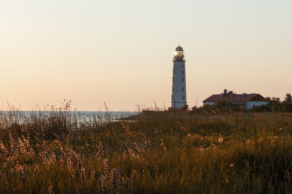 Один летний вечер...