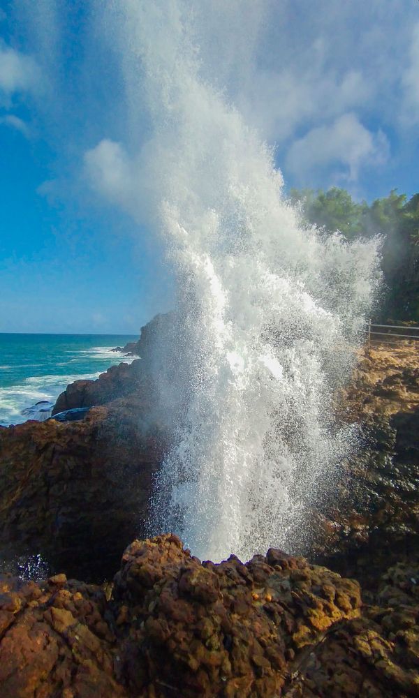 Photograph by Shamal lakshan