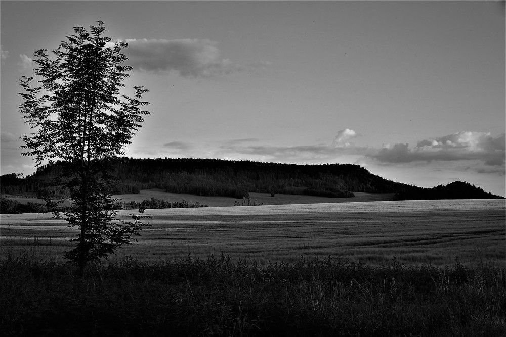 Photograph by Zdeňka Hudcová