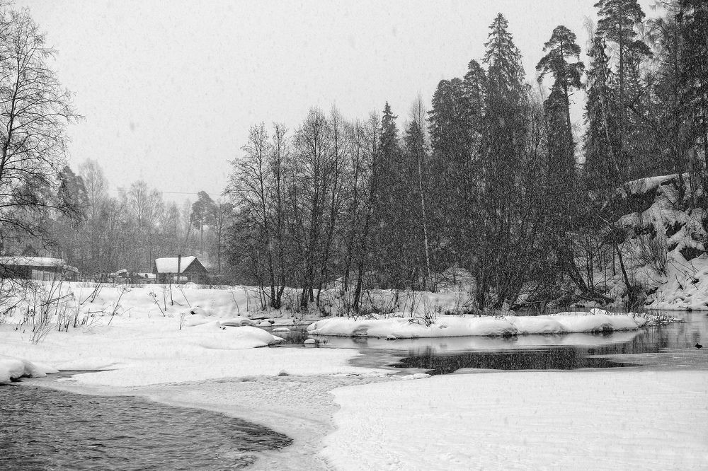 Фотография автора Ольга Виноградова