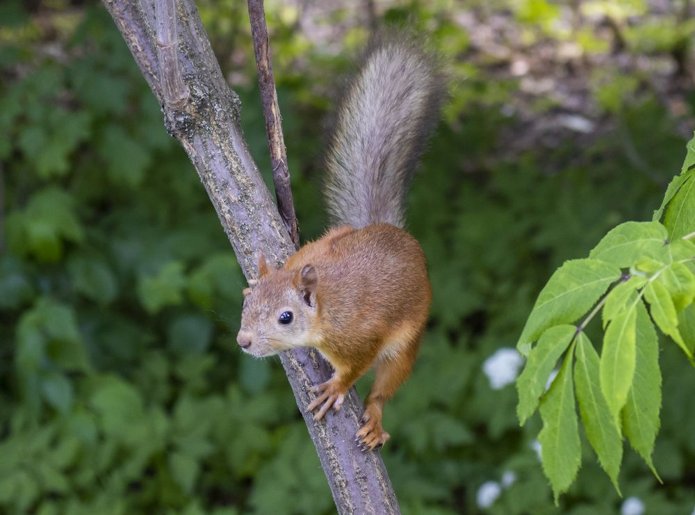 Photograph by Александр Голиков