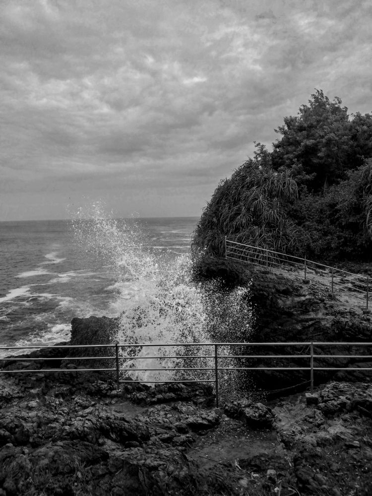 Photograph by Shamal lakshan