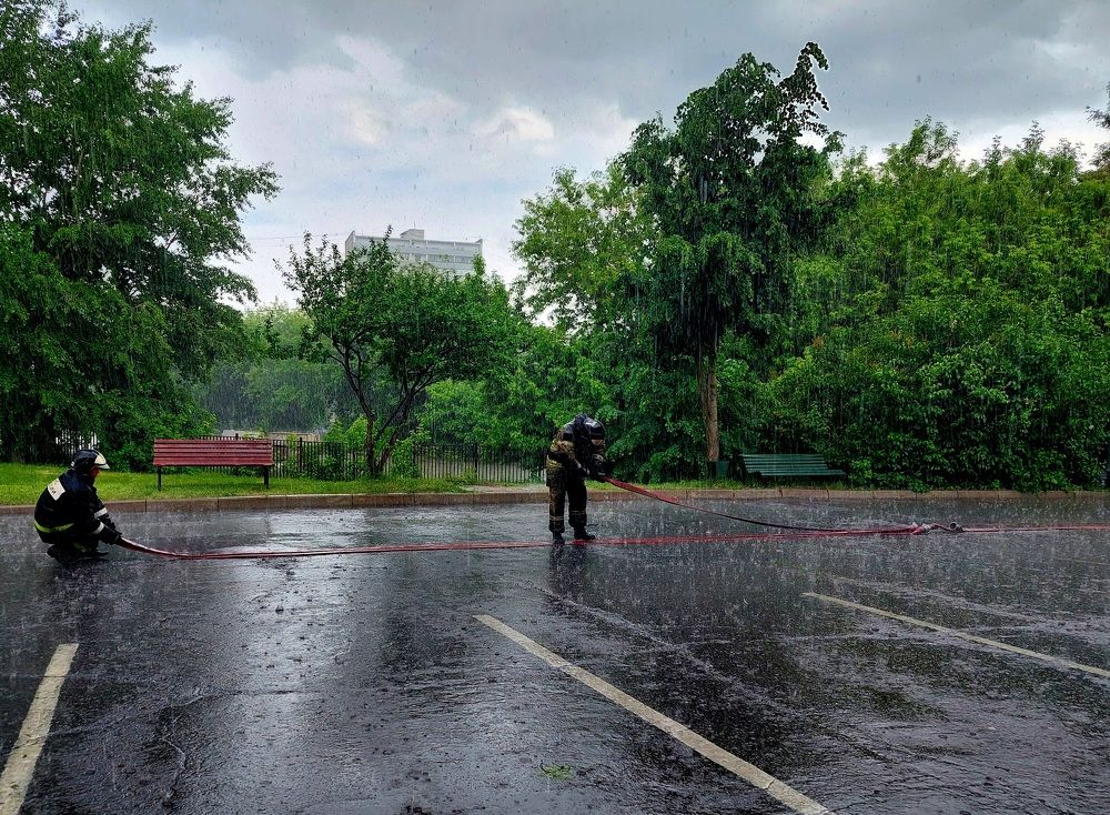 Фотография автора Мария Коледа