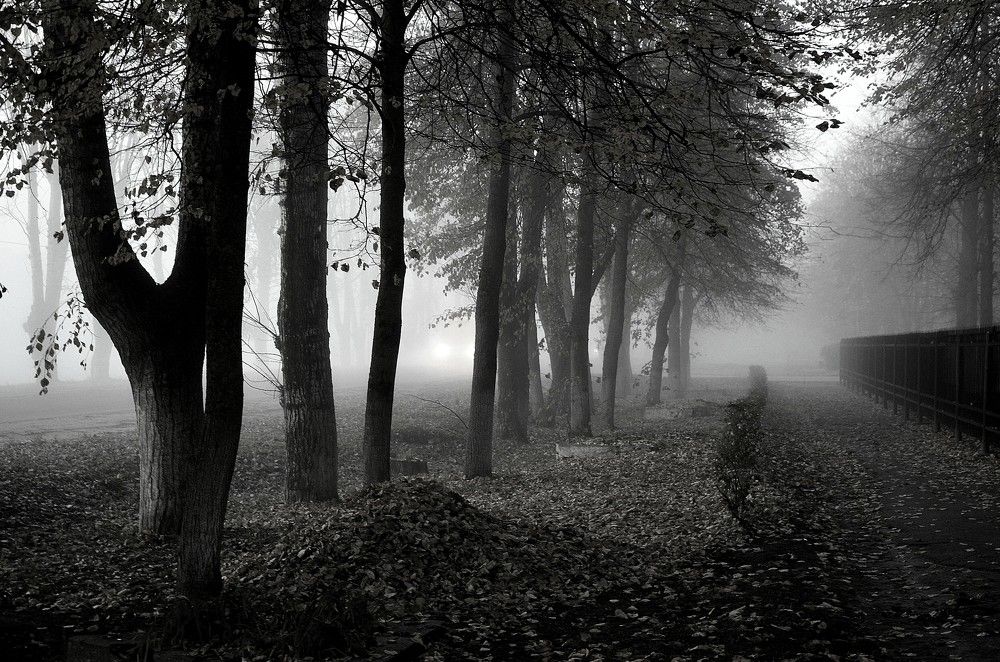 Туман, туман окутал землю вновь...