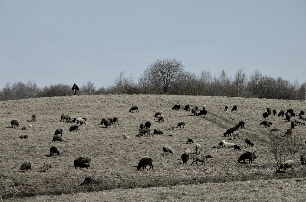 Photograph by Зинаида Фадеева