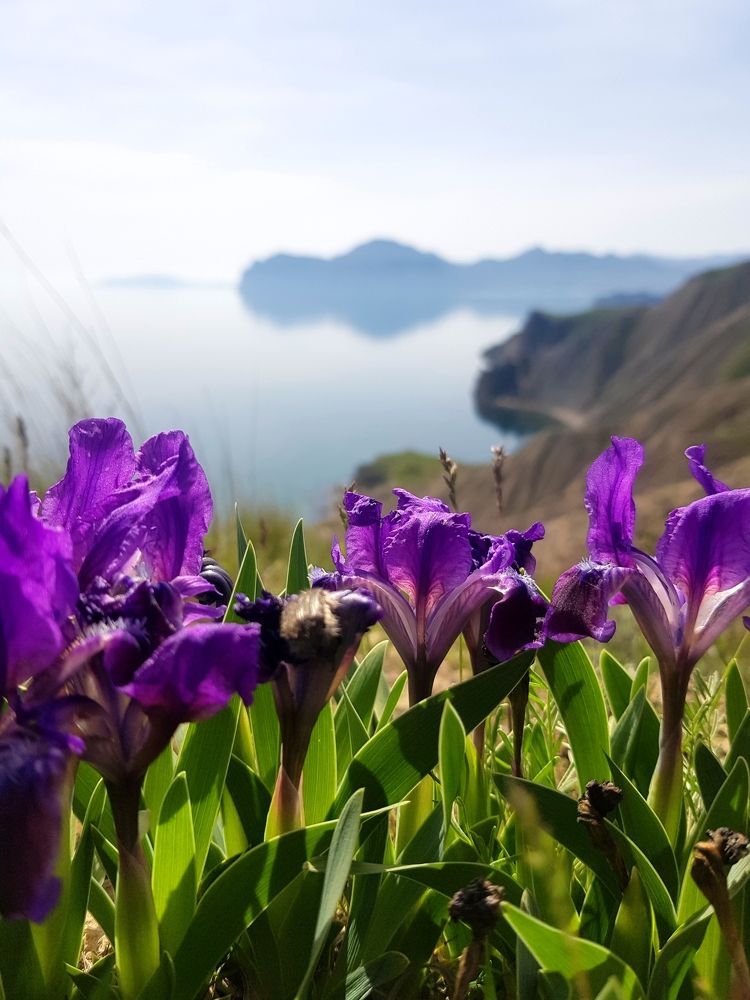 Photograph by Григорий Гуцол