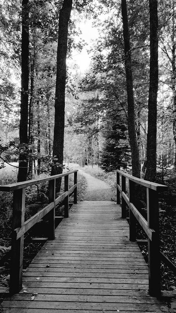 Photograph by Epp Tappel