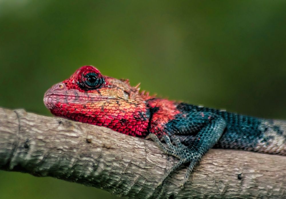 Photograph by Meer Click Media