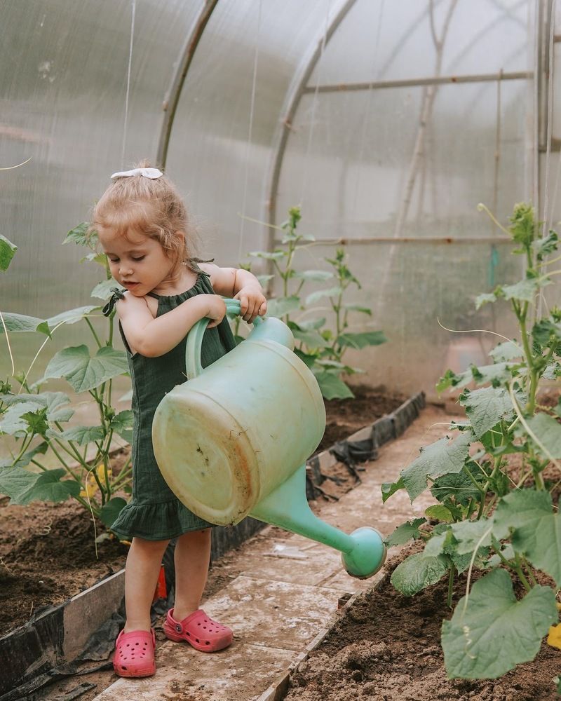 Фотография автора Александра