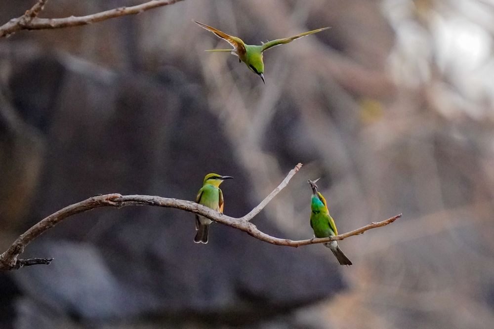 Photograph by Yogesh G shid