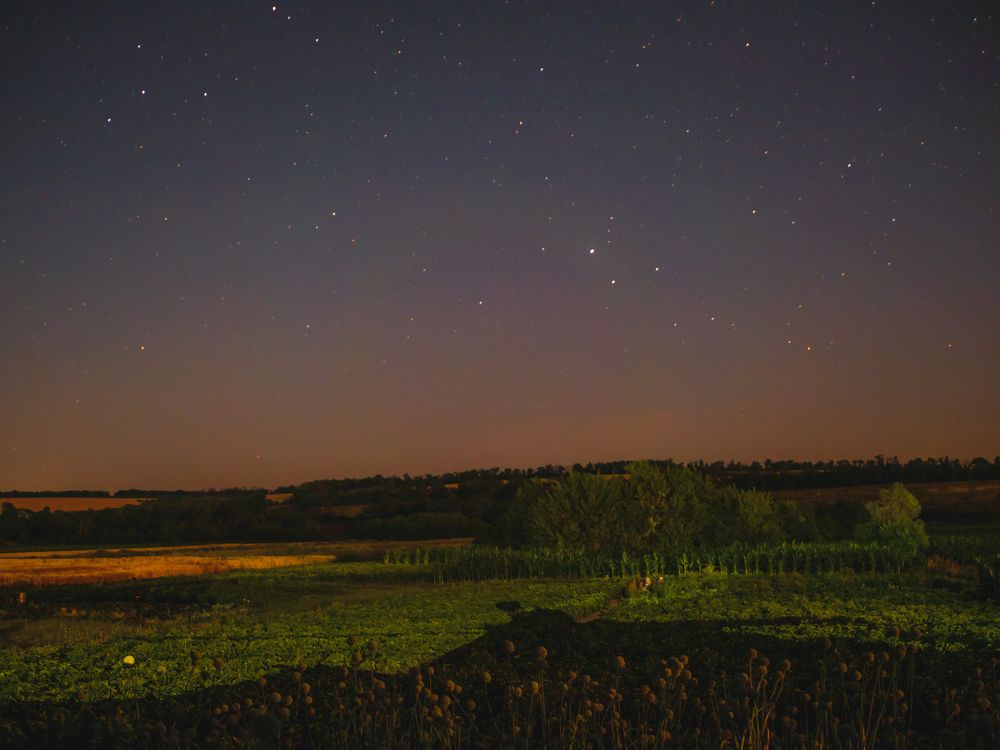Photograph by Дмитрий Головко