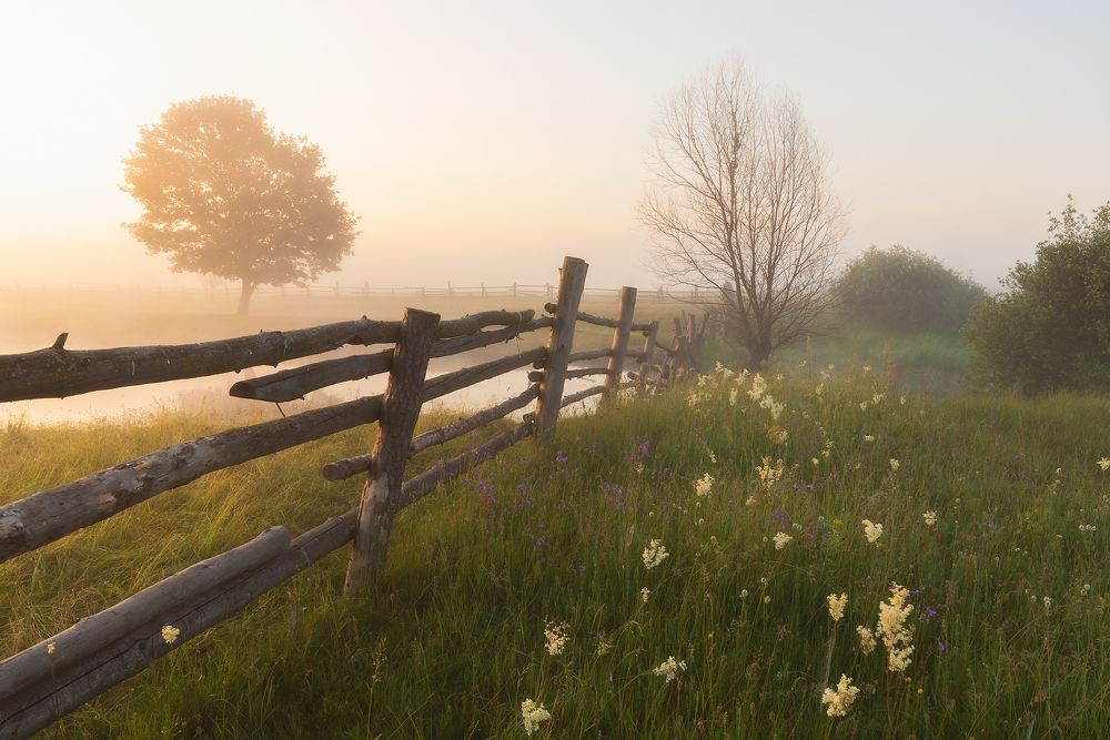 Летний рассвет