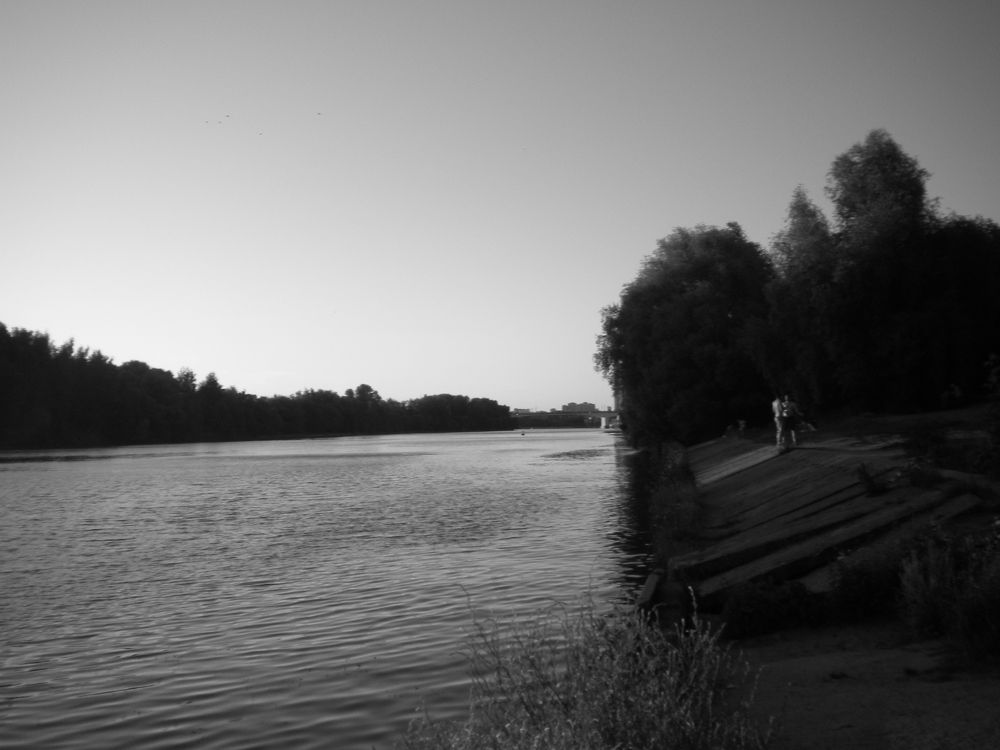 Photo #7787311
