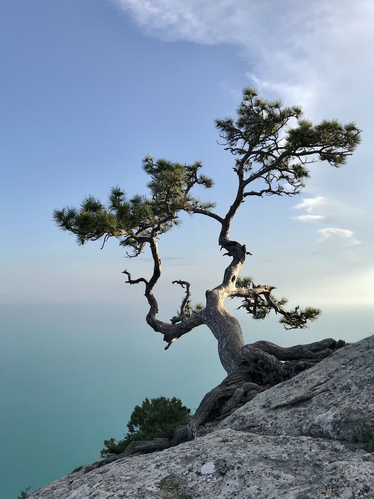 Photograph by Елизавета Медведева