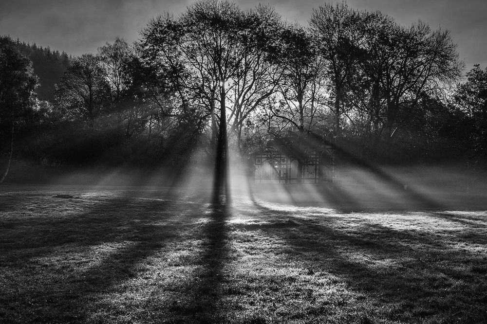 Photograph by Виктория Солодар