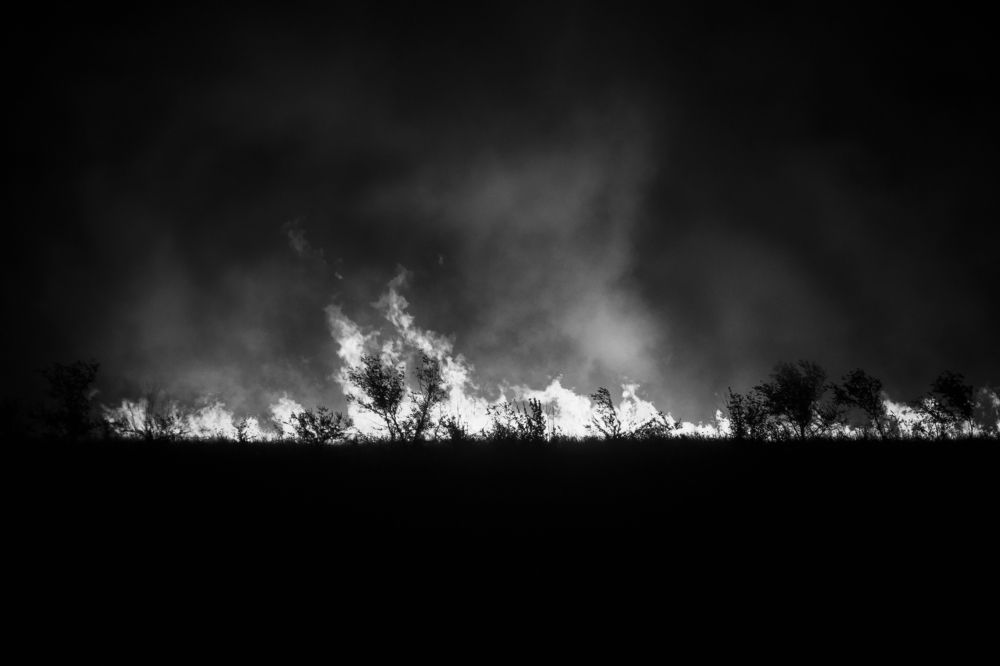 Photograph by Владимир Зайцев