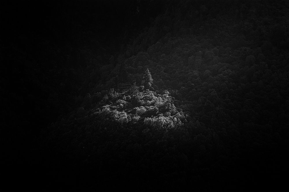 Photograph by Артем Падалко