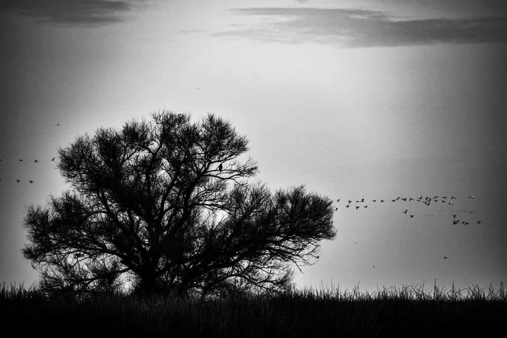 Photograph by Gladys Barros