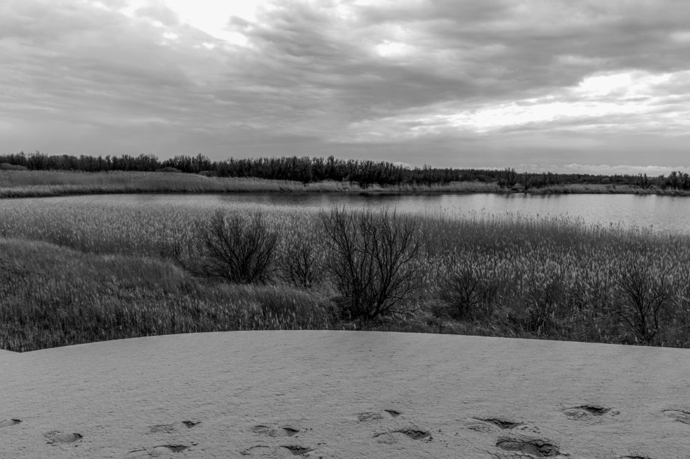 Photograph by Юлия Подлеснова