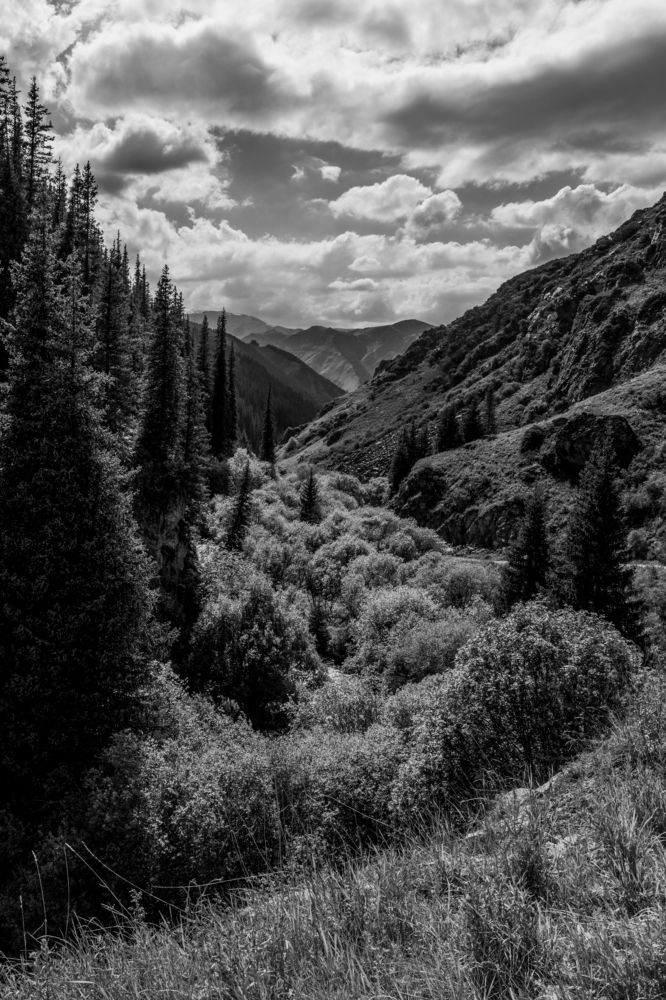 Photograph by Юлия Подлеснова