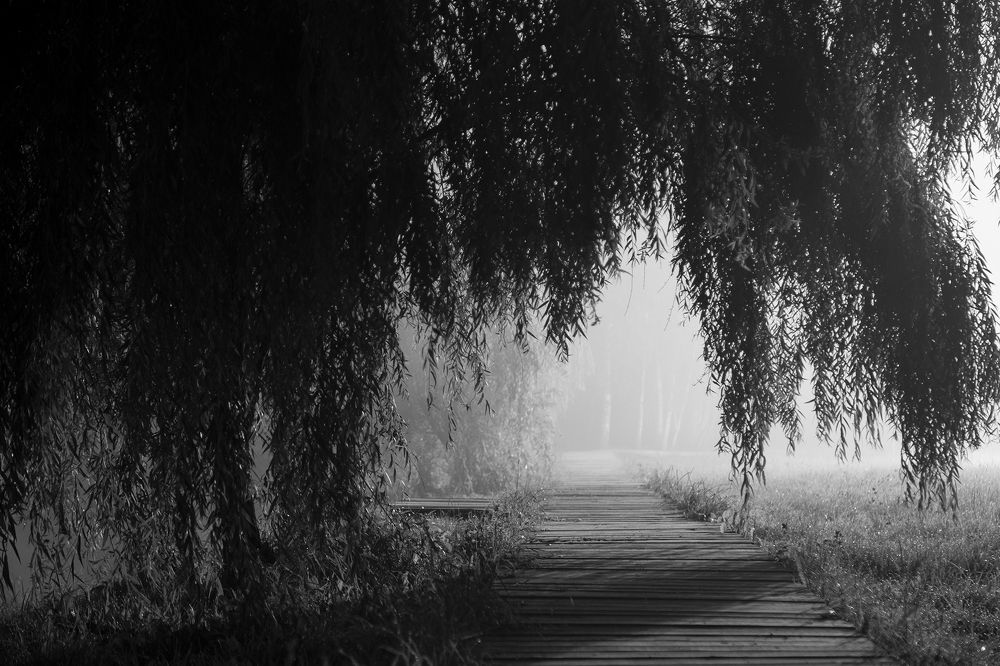 Photograph by Татьяна Мурзенко