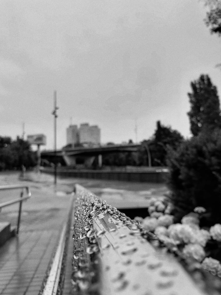 Photograph by Наталья Веряскина