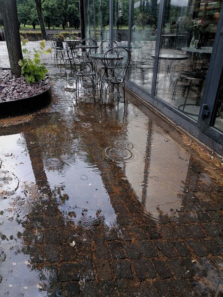 Photograph by Наталья Веряскина