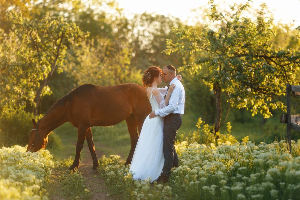 Фотография автора Виктория Литвиненко