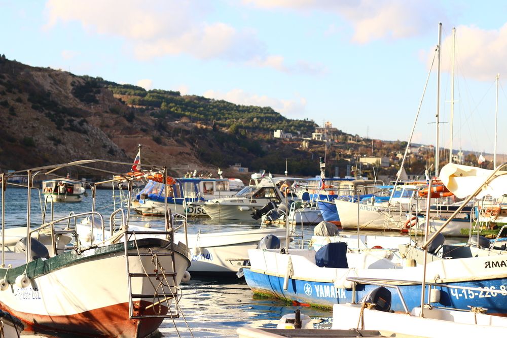 Photograph by Мария Баннова