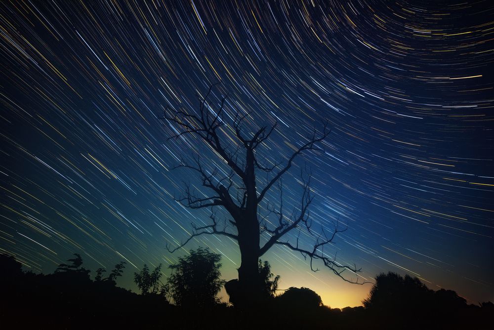 Photograph by Павел Абакумов