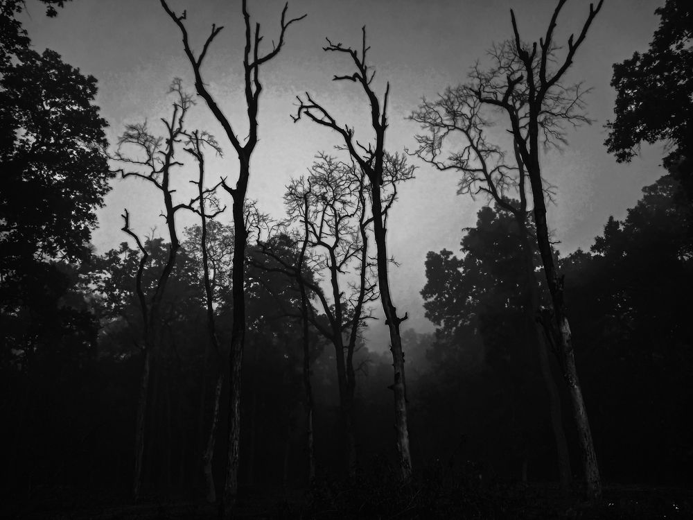 Life And Death
