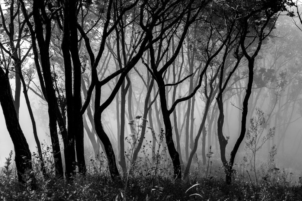 Photograph by Sergey Tsubanov