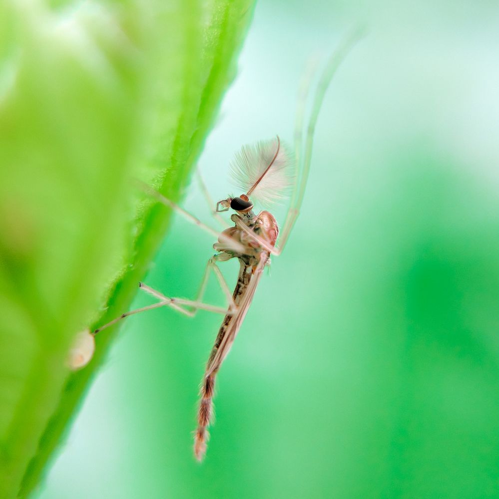 Photograph by Bikkee Bakchi