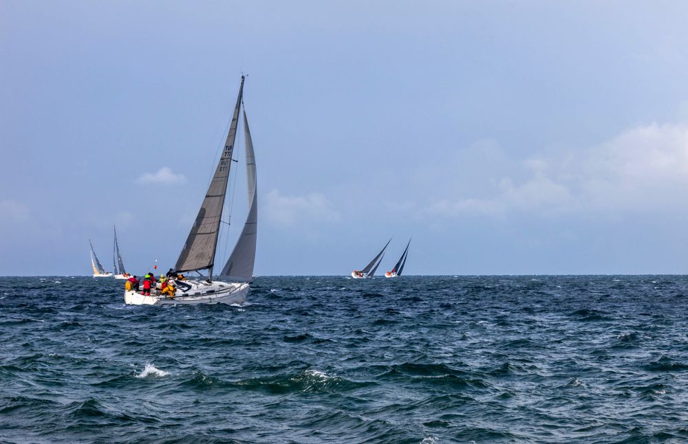 Yacht Races I