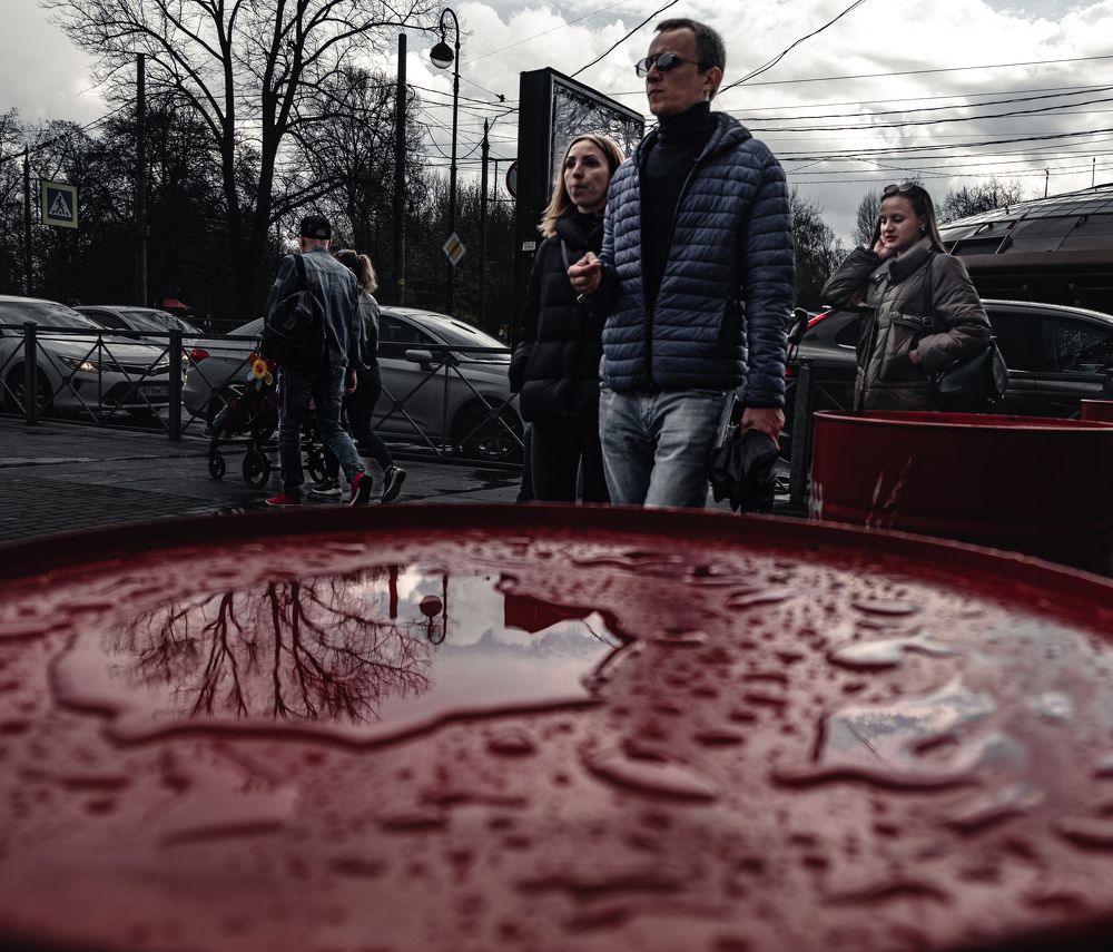 Photograph by Харламов Павел