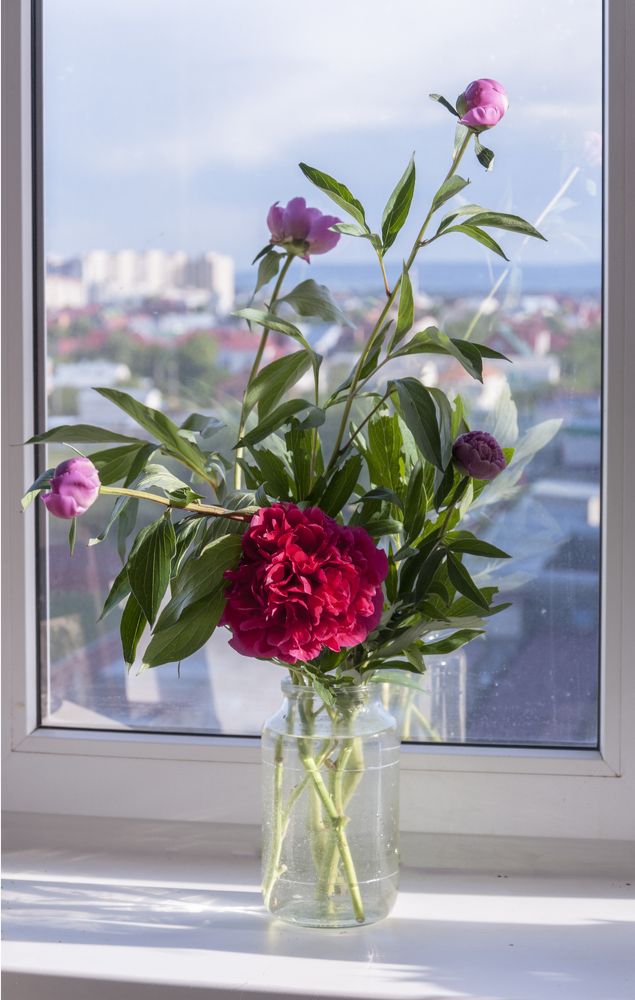 Photograph by Мария Аладьина