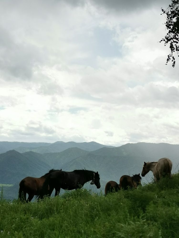 Фотография автора Регина Цыганова