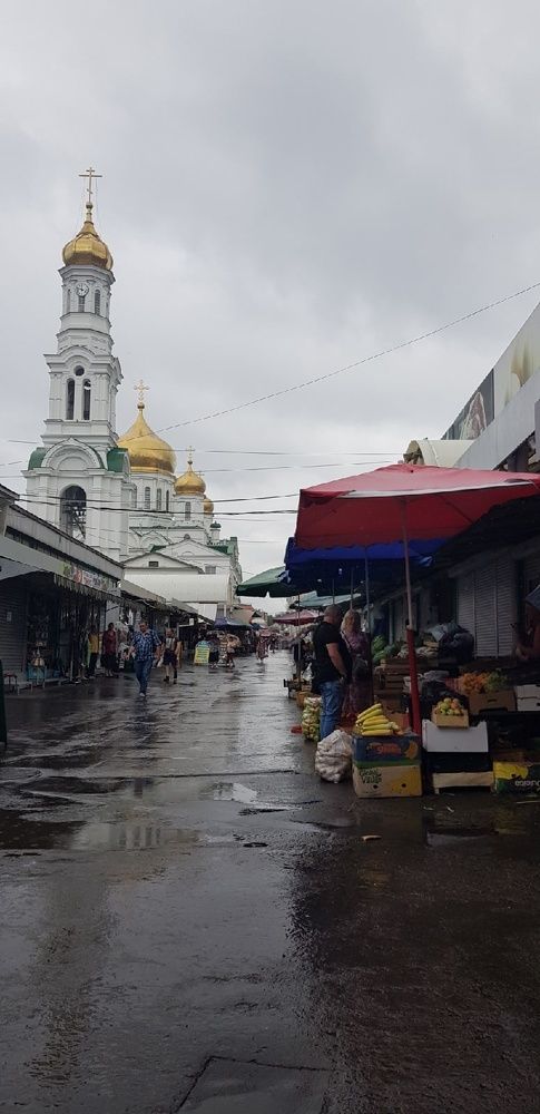 Фотография автора Ольга Мусина