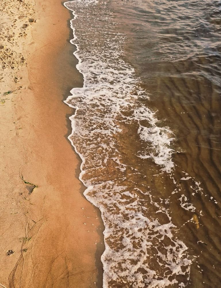 Photograph by Vera Nefedova