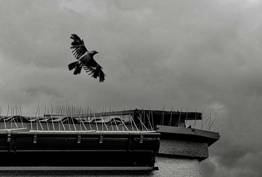 Photograph by Tomasz