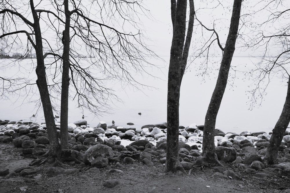 Photograph by Танзиля Завьялова