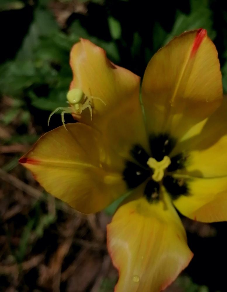 Photograph by Ирина Кортюкова